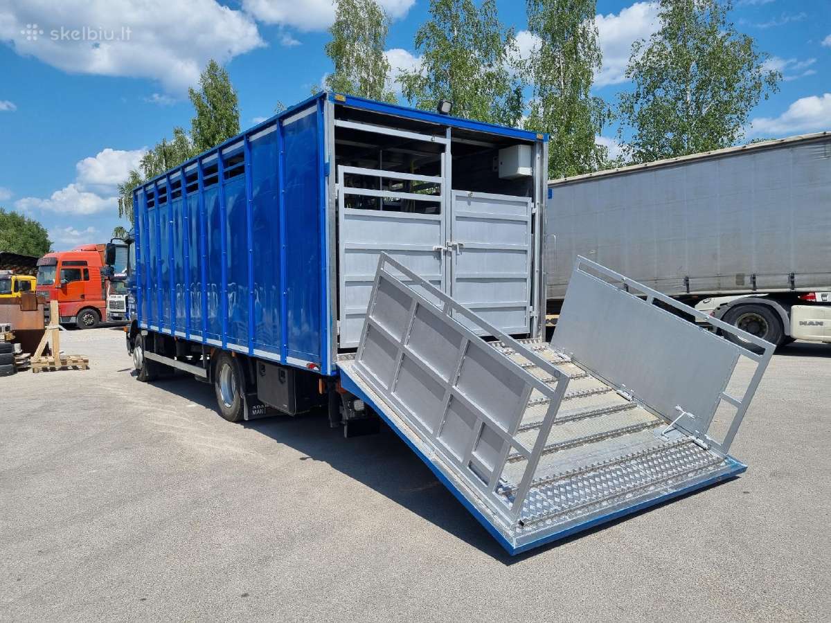 Galvijų pervežimo, transporto paslaugos Lietuvoje