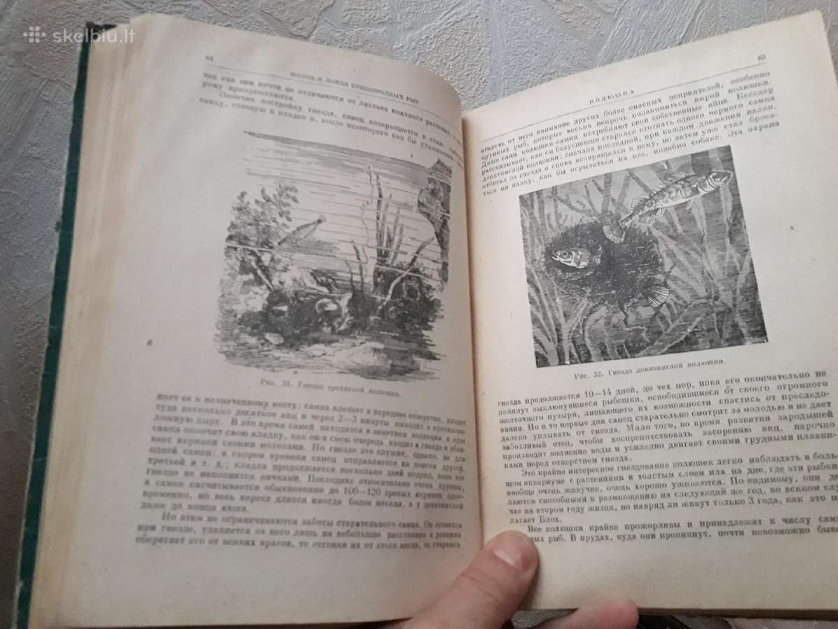 Žuvų meškeriojimo klasika - nuotraukos Nr. 6