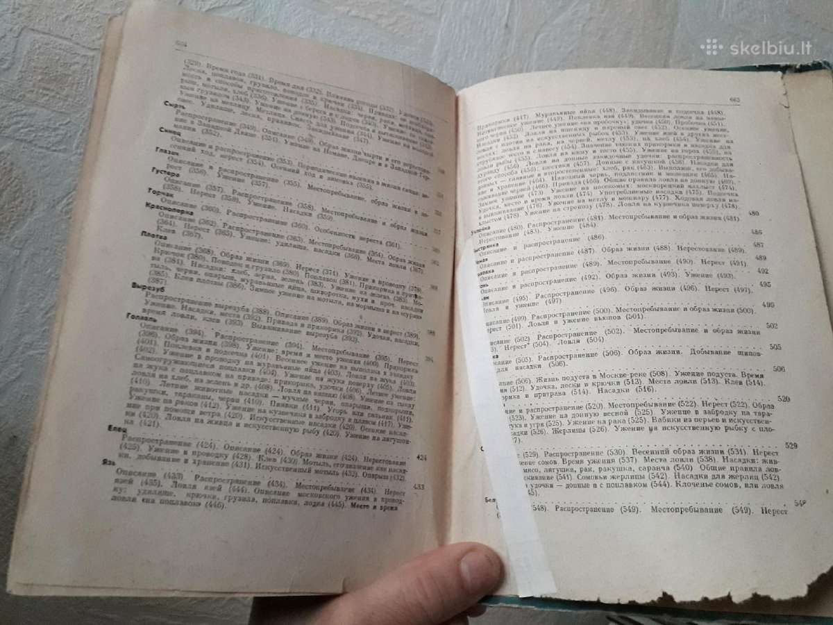 Žuvų meškeriojimo klasika - nuotraukos Nr. 9