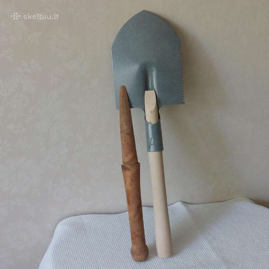 Kotas karinei lopetai / Lopatka sapiornaja - nuotraukos Nr. 7