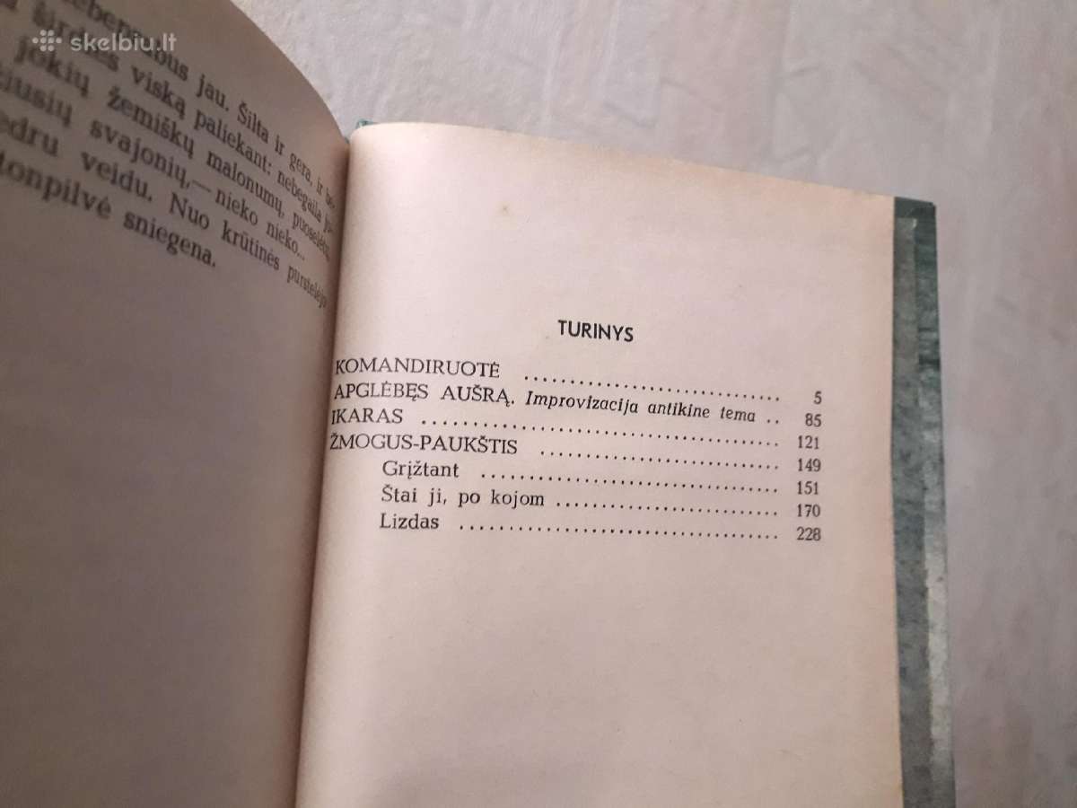Vydas Astas "Tik svajotojai" 1988 metai - nuotraukos Nr. 3