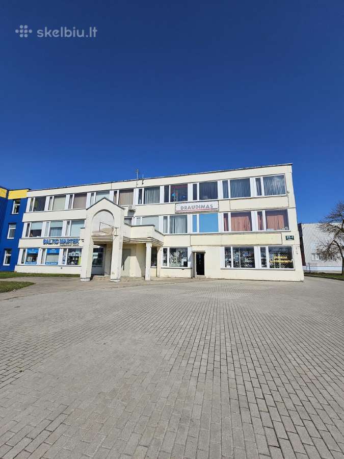 Grandininė gervė Grandinines gerves libiotke - nuotraukos Nr. 30