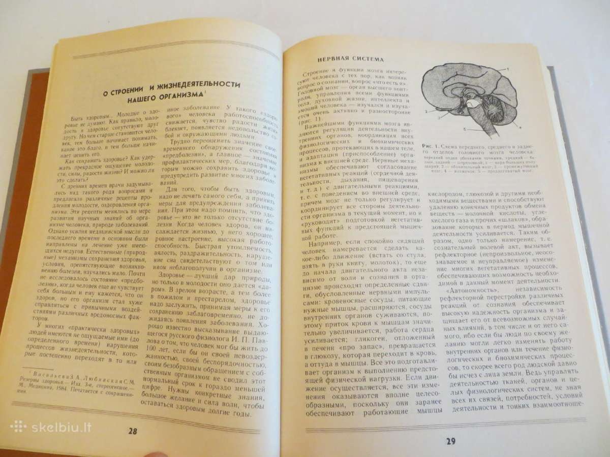 Knyga apie sveikatą. Labai daug info visiems. 1988 - nuotraukos Nr. 14