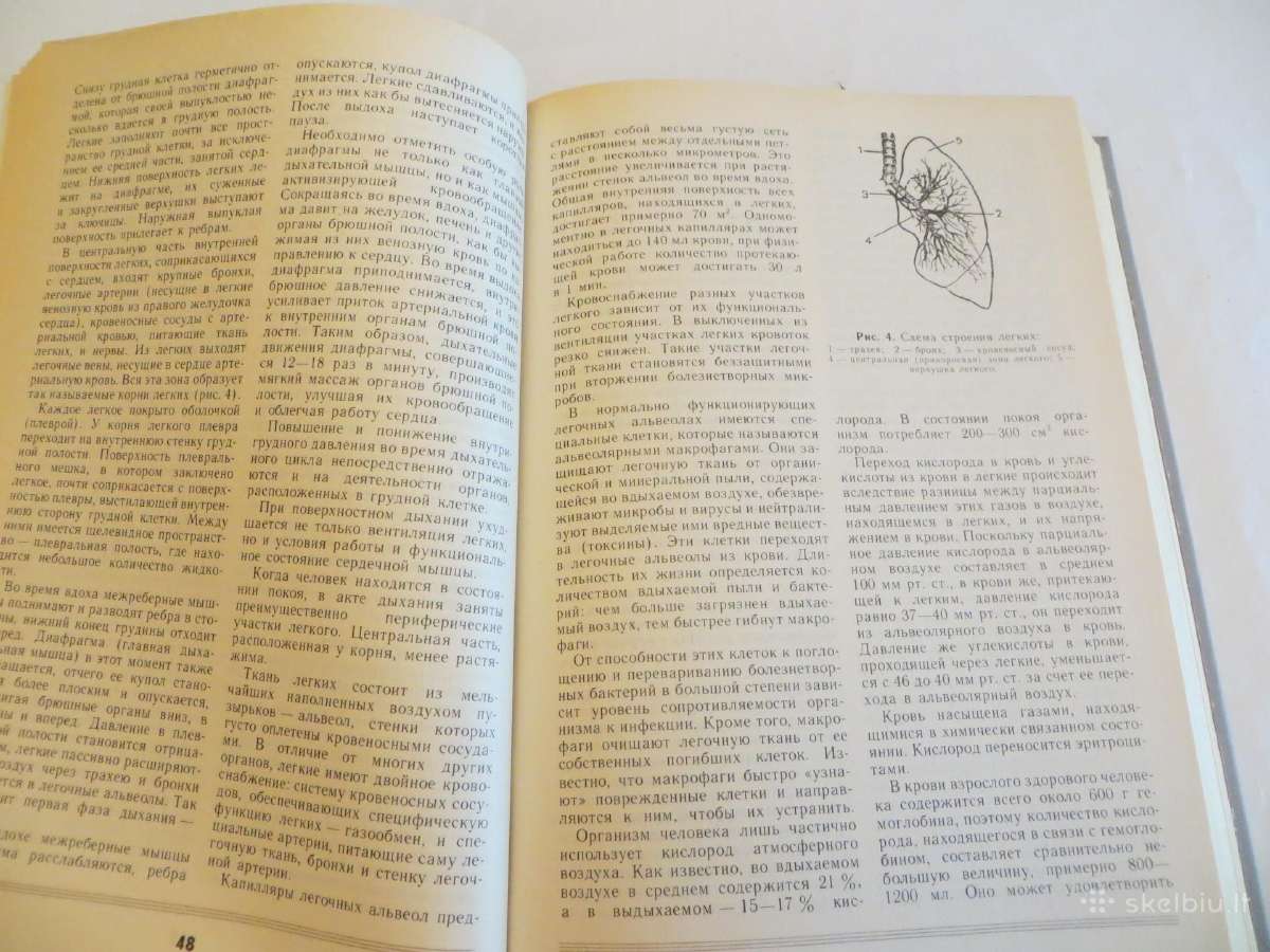Knyga apie sveikatą. Labai daug info visiems. 1988 - nuotraukos Nr. 16