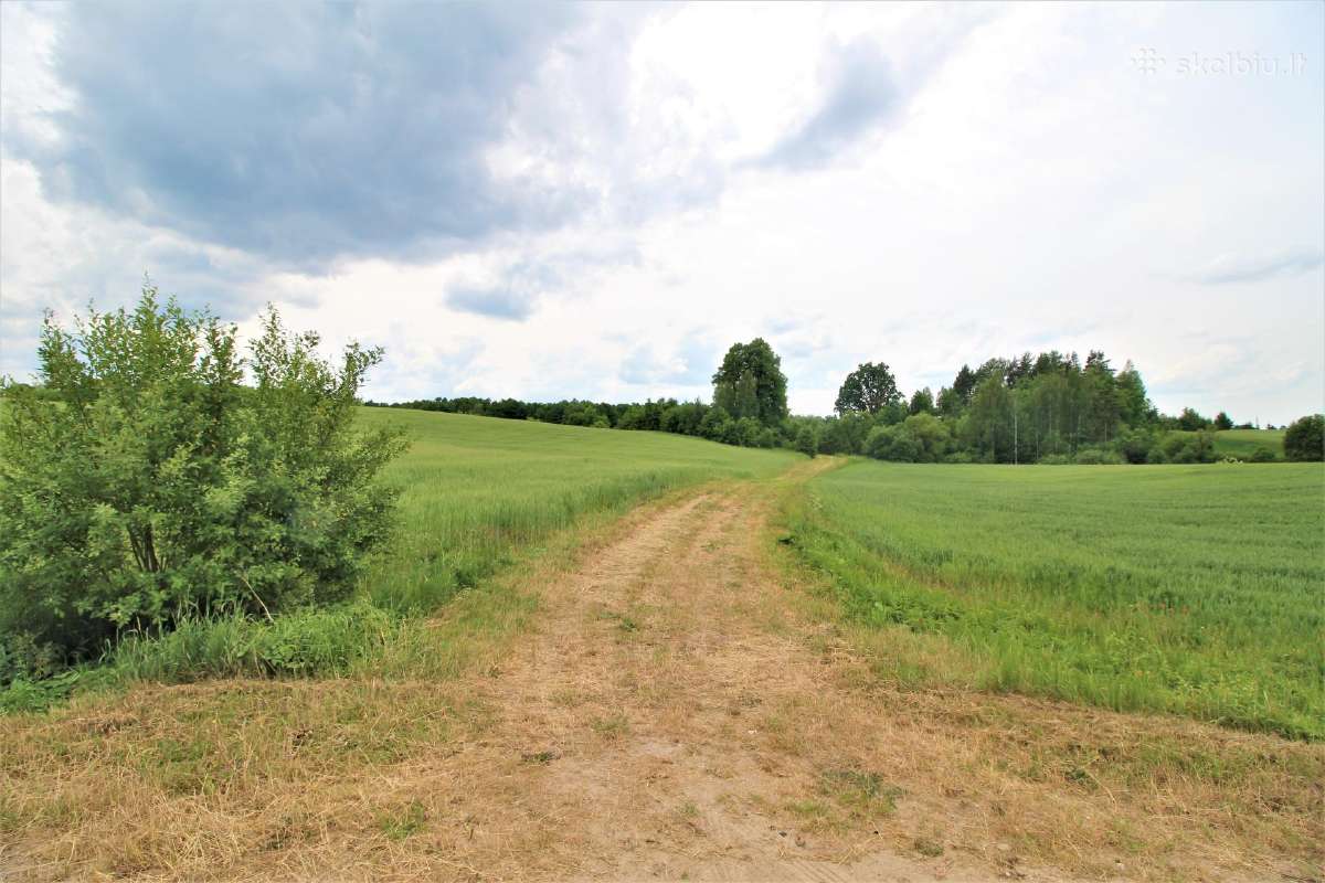 Vietos unikalumas svarbus akcentas sodybai - nuotraukos Nr. 25