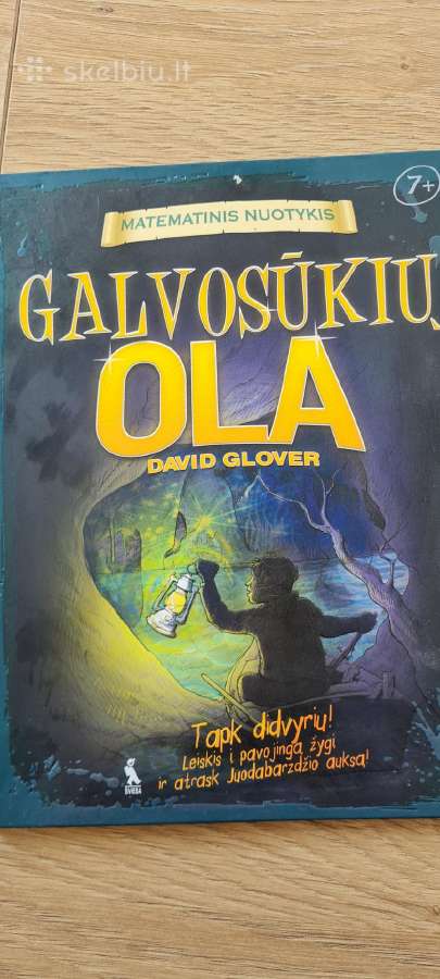 Matematinis galvosūkis