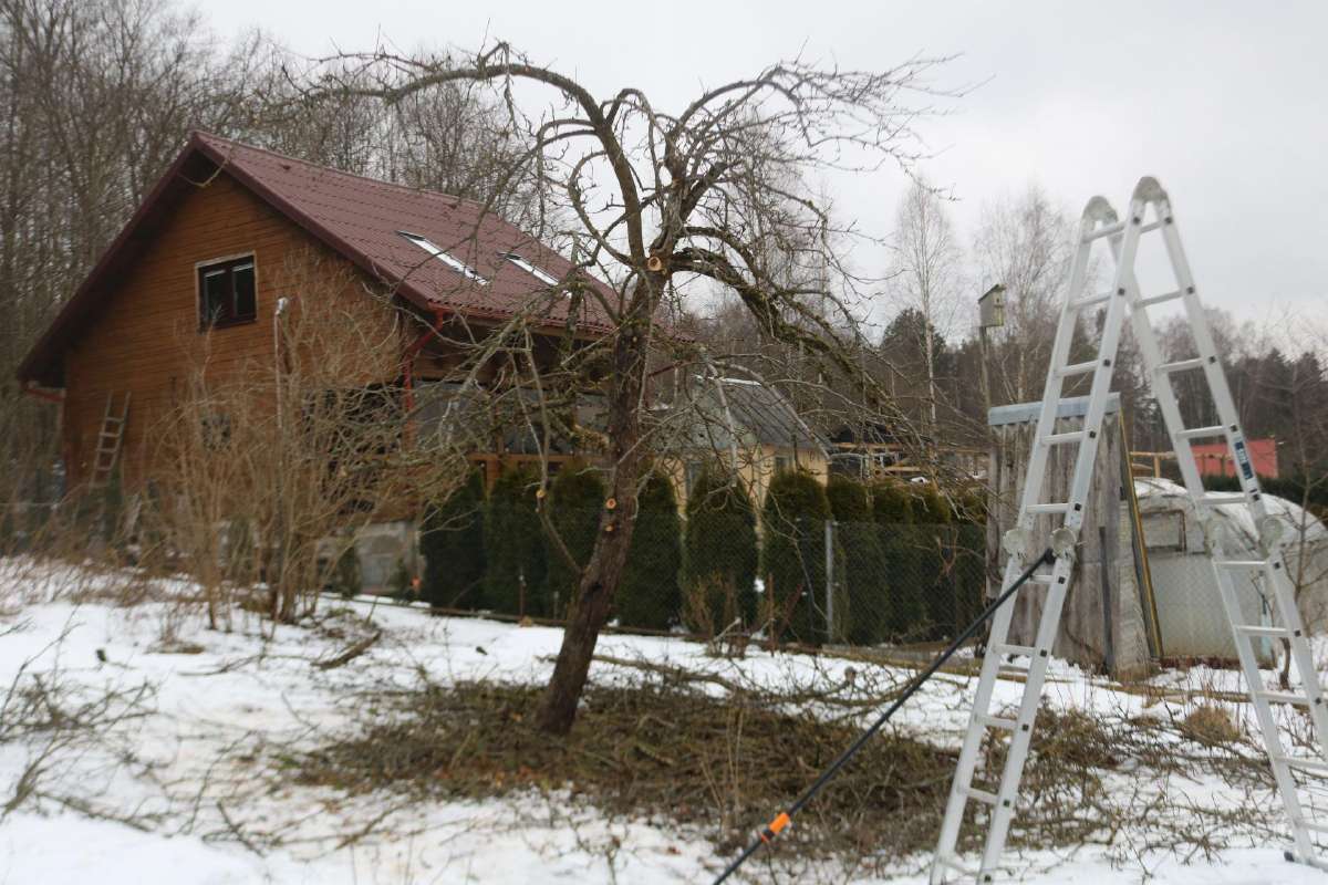 Šienavimas, medžių genėjimas, gyvatvorių karpymas - nuotraukos Nr. 13