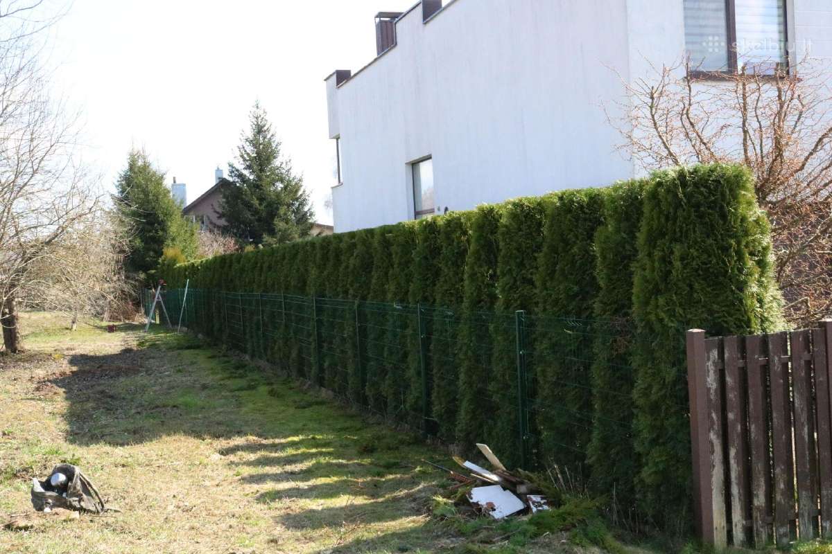 Šienavimas, medžių genėjimas, gyvatvorių karpymas - nuotraukos Nr. 18