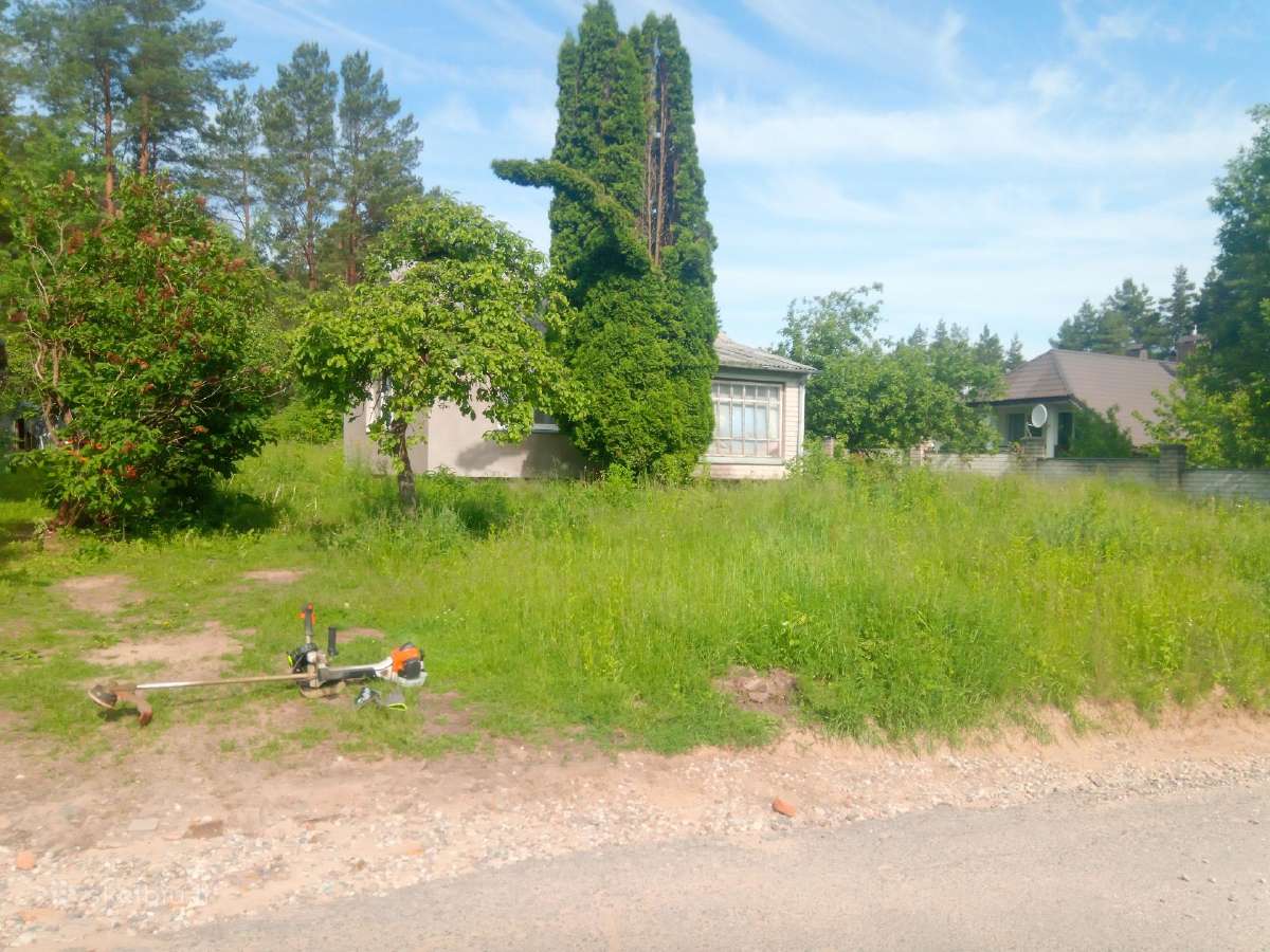 Šienavimas, medžių genėjimas, gyvatvorių karpymas - nuotraukos Nr. 19