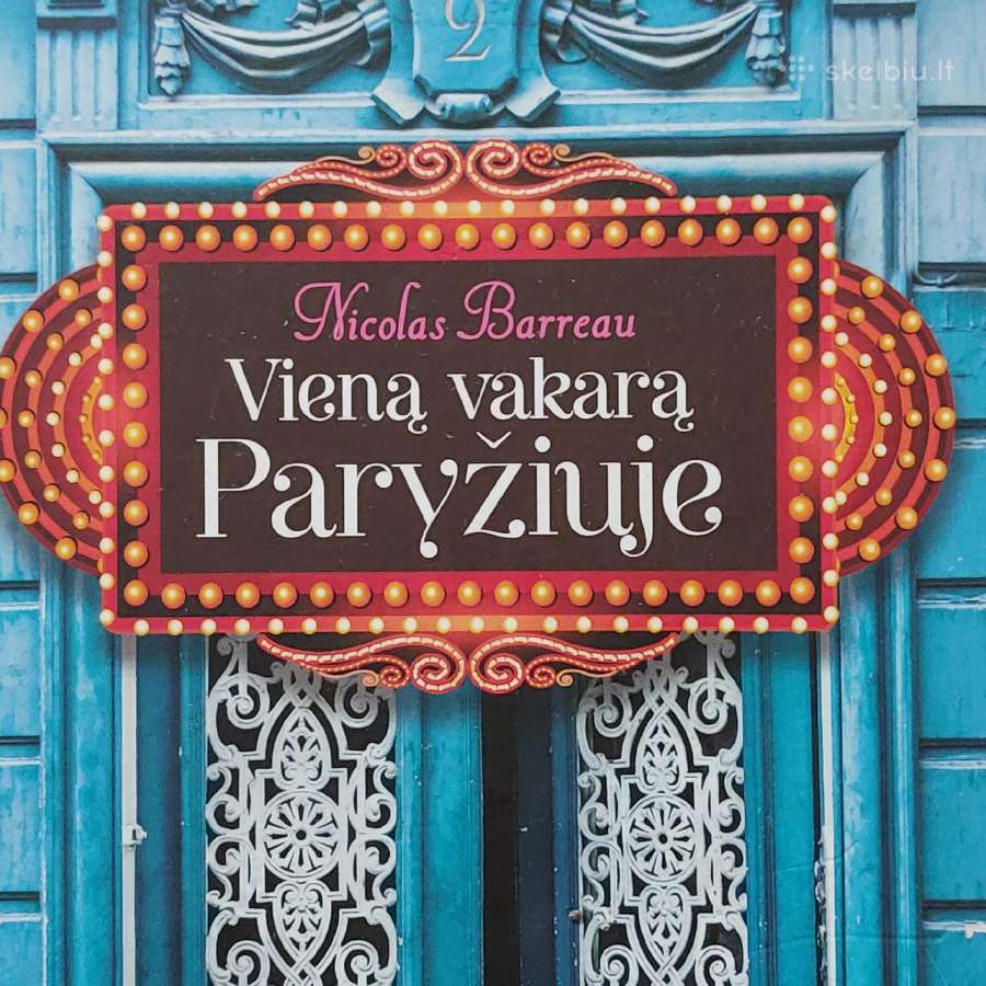 Nicolas Barreau " Viena vakara Paryžiuje "