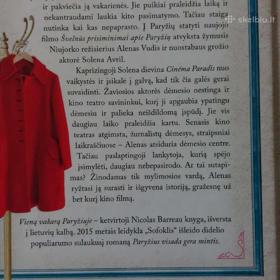 Nicolas Barreau " Viena vakara Paryžiuje " - nuotraukos Nr. 7