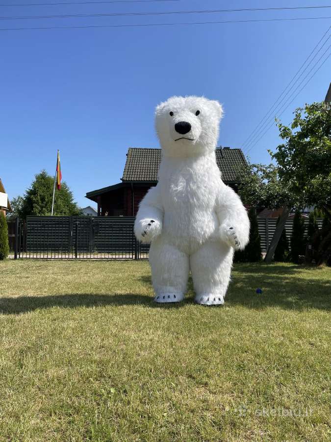 Sveikina meška, baltos meškos sveikinimas - nuotraukos Nr. 6