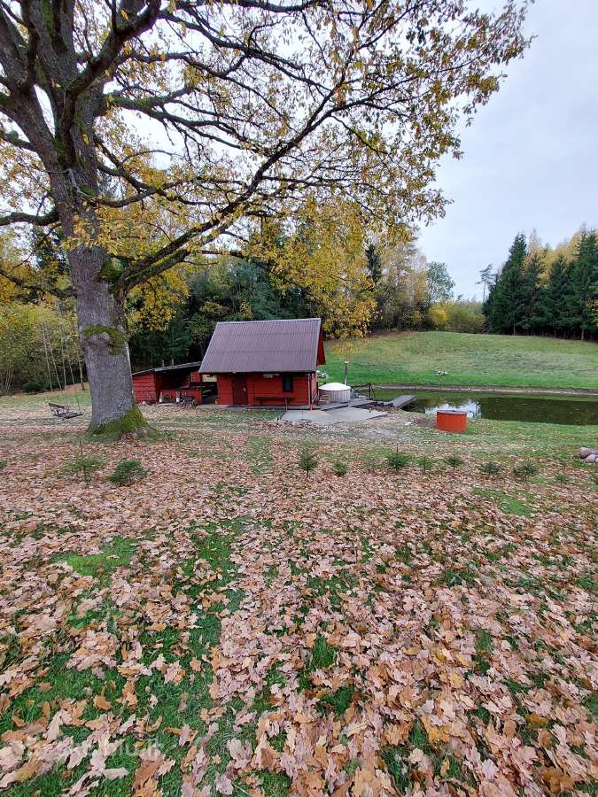 Sodybos "Po Ąžuolu" nuoma Alytaus rajone - nuotraukos Nr. 6