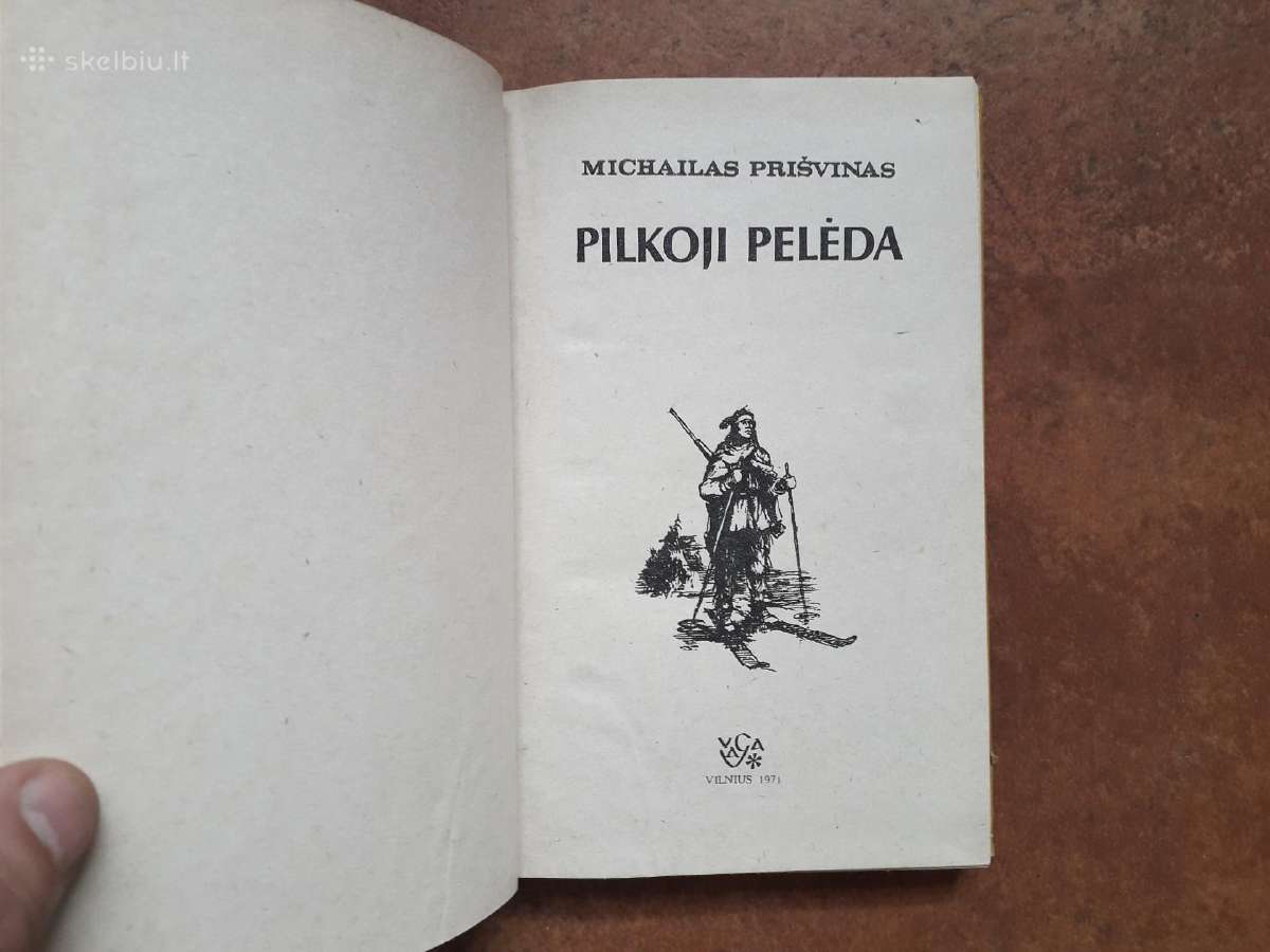 Pilkoji Pelėda "Apleistos trobelės Pasakojimai" - nuotraukos Nr. 3