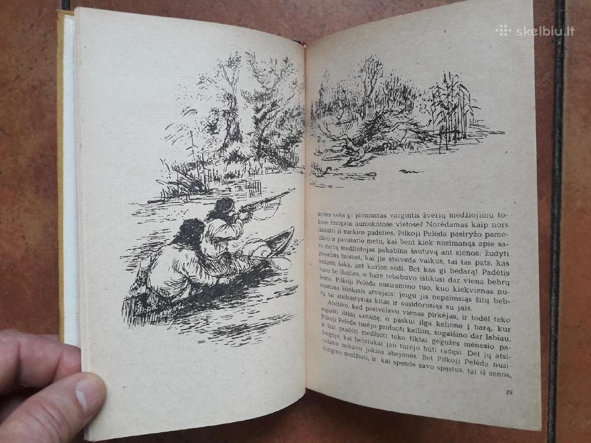 Pilkoji Pelėda "Apleistos trobelės Pasakojimai" - nuotraukos Nr. 5