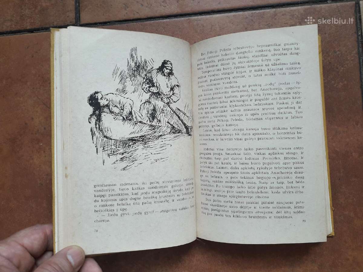Pilkoji Pelėda "Apleistos trobelės Pasakojimai" - nuotraukos Nr. 4