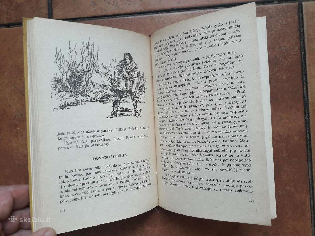 Pilkoji Pelėda "Apleistos trobelės Pasakojimai" - nuotraukos Nr. 6