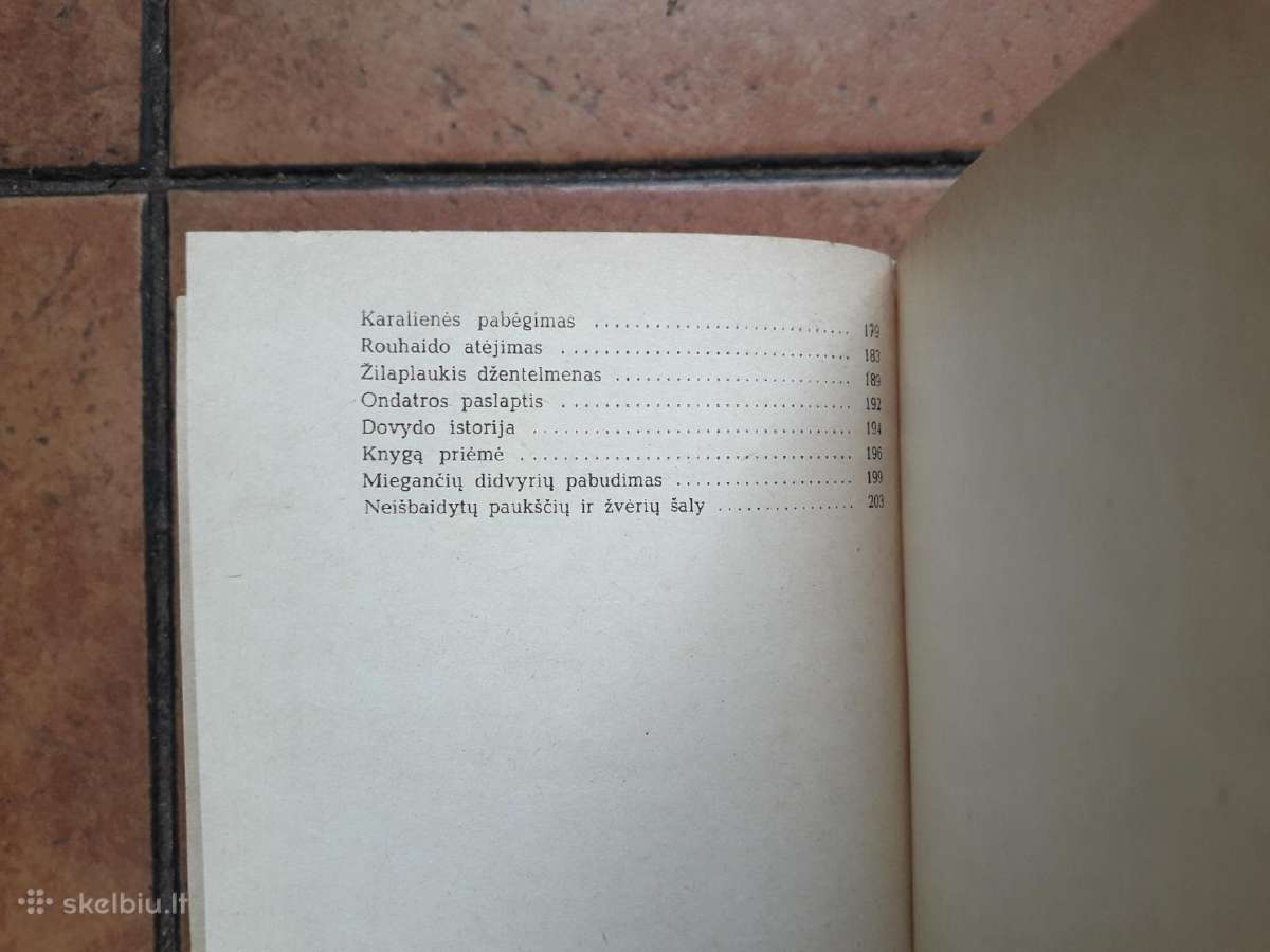 Pilkoji Pelėda "Apleistos trobelės Pasakojimai" - nuotraukos Nr. 8