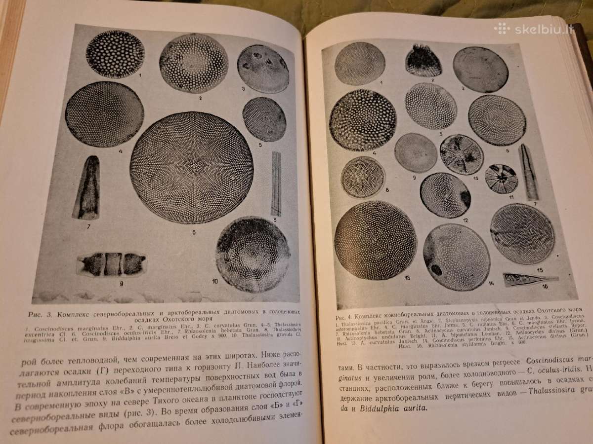 Holoceno klausimai - nuotraukos Nr. 6