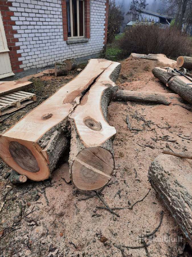 Išilginio pjovimo mobilios medienos pjovimo stakle - nuotraukos Nr. 37