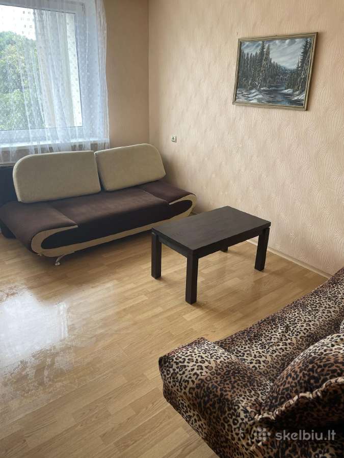 Dvieju kambariu butas centrineje miesto dalyje - nuotraukos Nr. 5