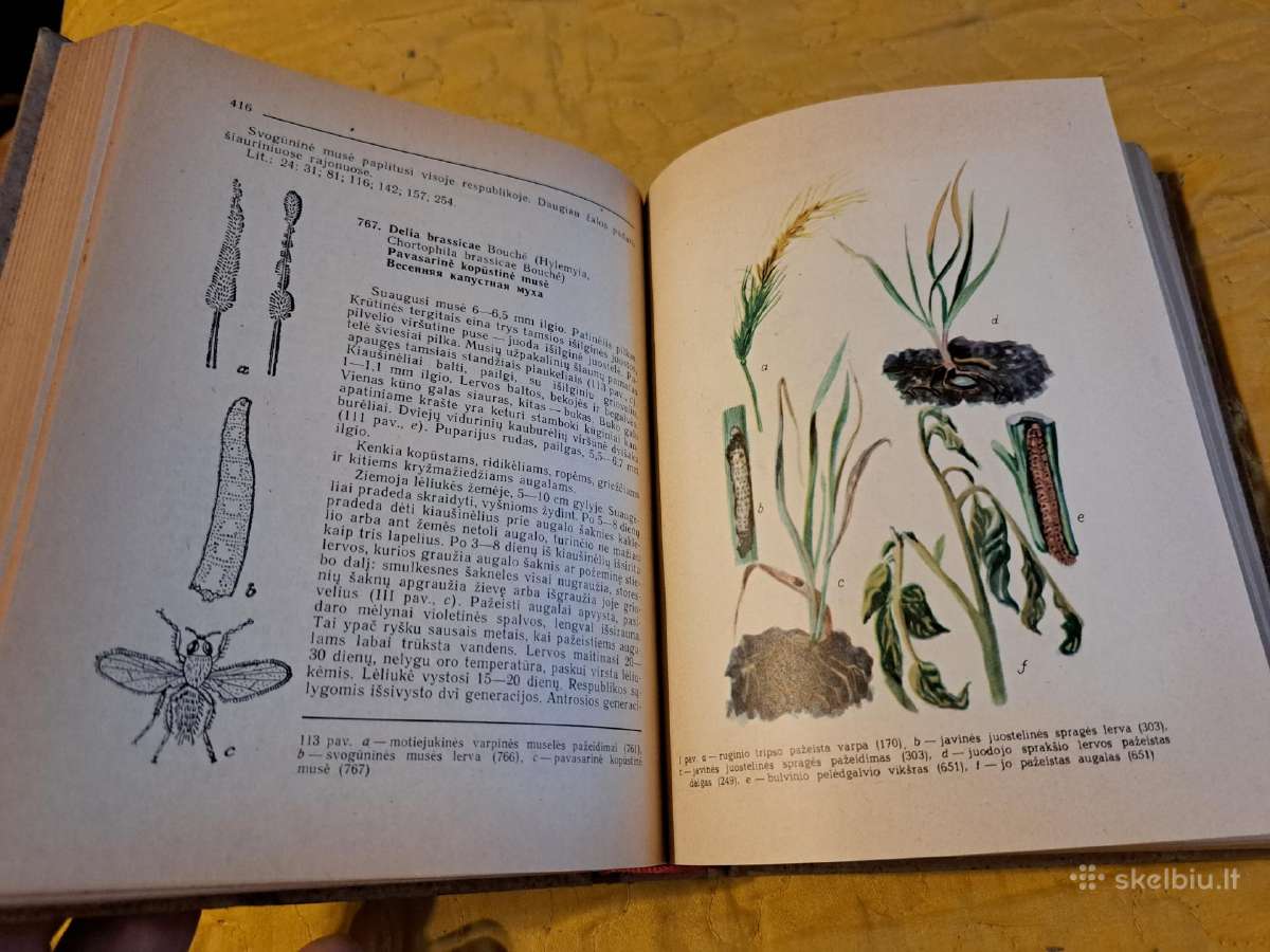 Augalų apsaugos darbuotojo žinynas - nuotraukos Nr. 3