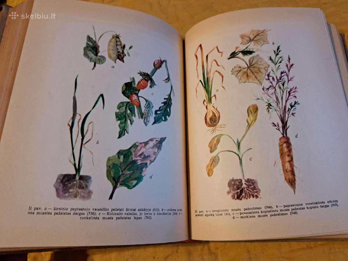 Augalų apsaugos darbuotojo žinynas - nuotraukos Nr. 4