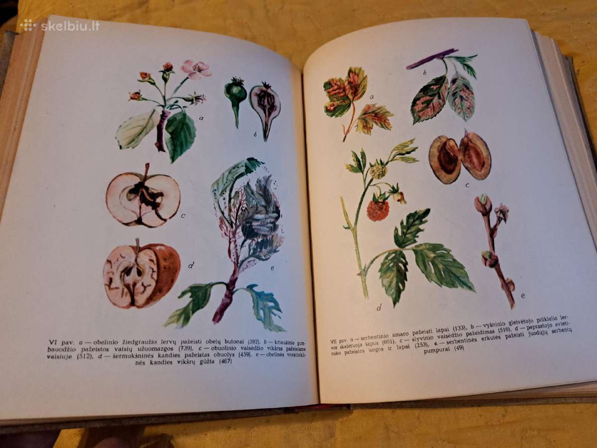 Augalų apsaugos darbuotojo žinynas - nuotraukos Nr. 5