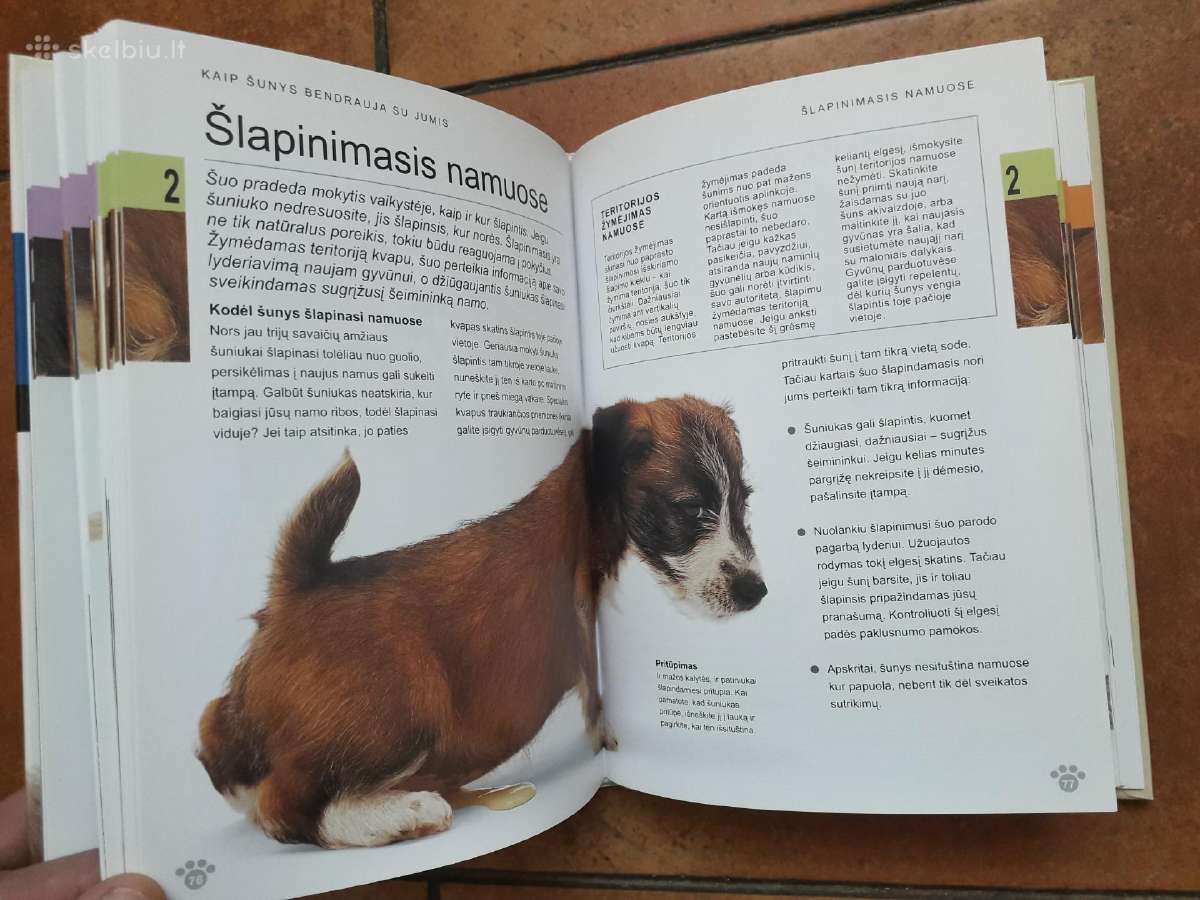David Alderton "Kaip susikalbėti su savo šunimi" - nuotraukos Nr. 7