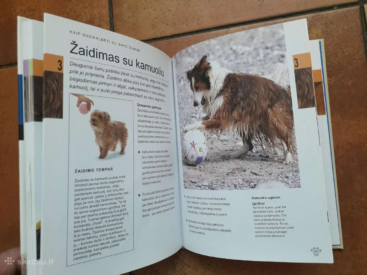 David Alderton "Kaip susikalbėti su savo šunimi" - nuotraukos Nr. 8