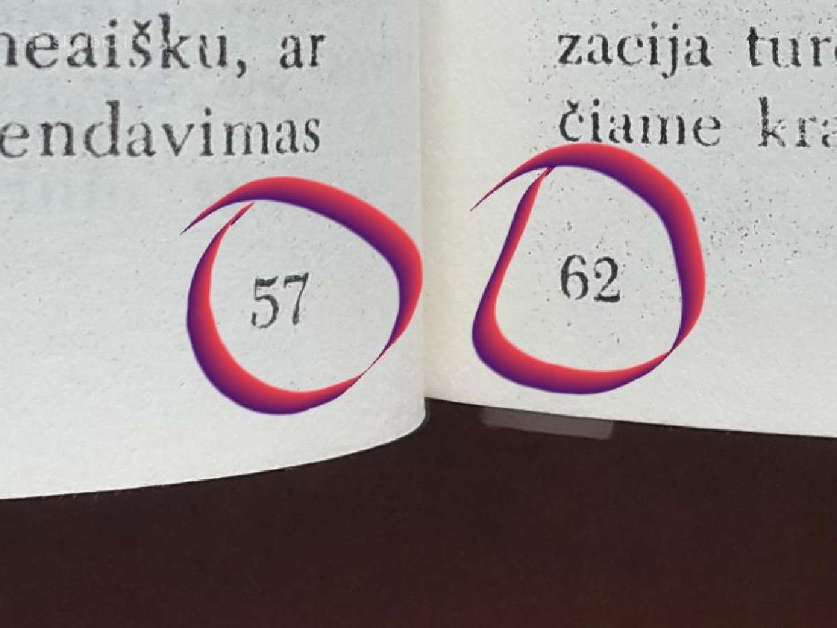 Sovietinio pogrindžio K. Škirpos "Sukilimo" kopija - nuotraukos Nr. 20