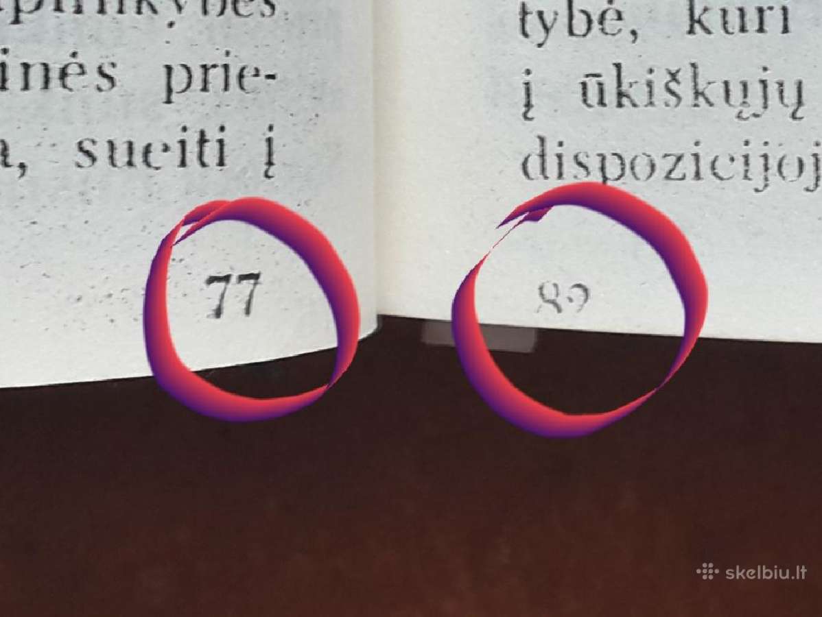 Sovietinio pogrindžio K. Škirpos "Sukilimo" kopija - nuotraukos Nr. 21