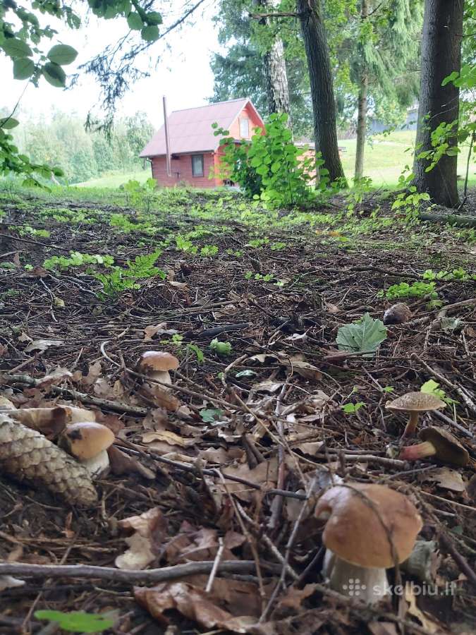 Sodybos "Po Ąžuolu" nuoma Alytaus rajone - nuotraukos Nr. 7