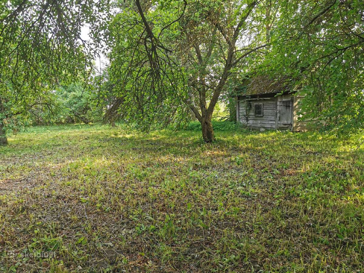 Parduodu sodybą - vienkiemį Dauginčių km. 93 arai - nuotraukos Nr. 16