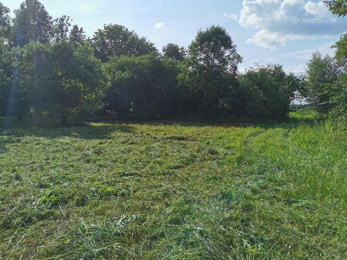 Parduodu sodybą - vienkiemį Dauginčių km. 93 arai - nuotraukos Nr. 2