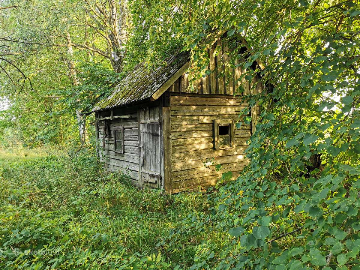 Parduodu sodybą - vienkiemį Dauginčių km. 93 arai - nuotraukos Nr. 19