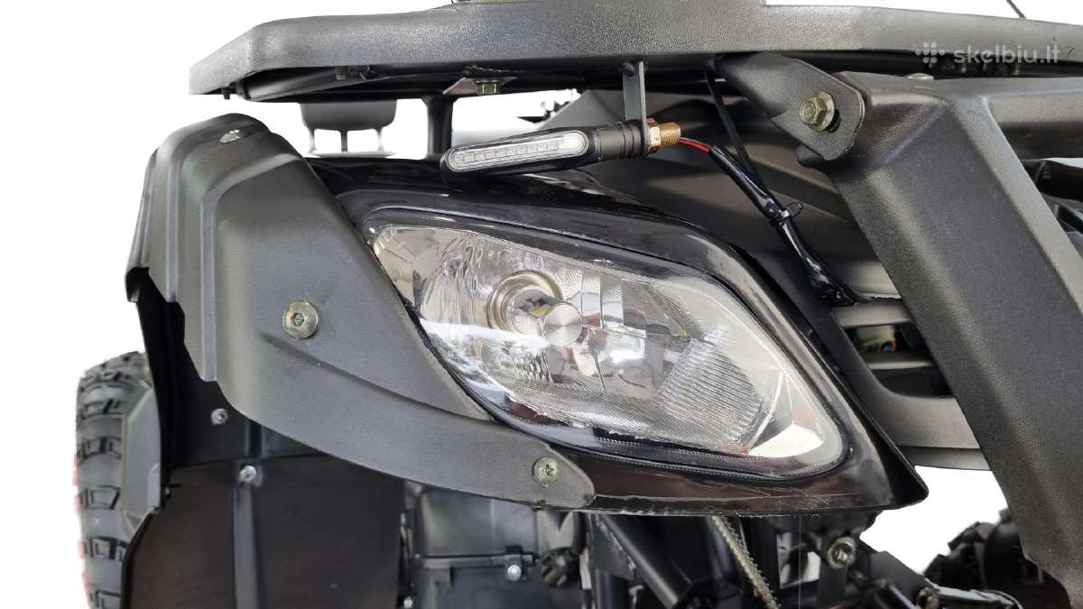 Akcija! Pigiausias Keturratis 250cc 012/10 - nuotraukos Nr. 31