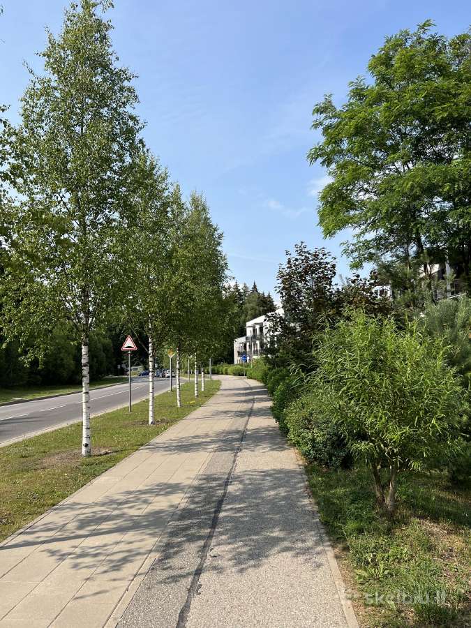 Butas gamtoje - nuotraukos Nr. 6
