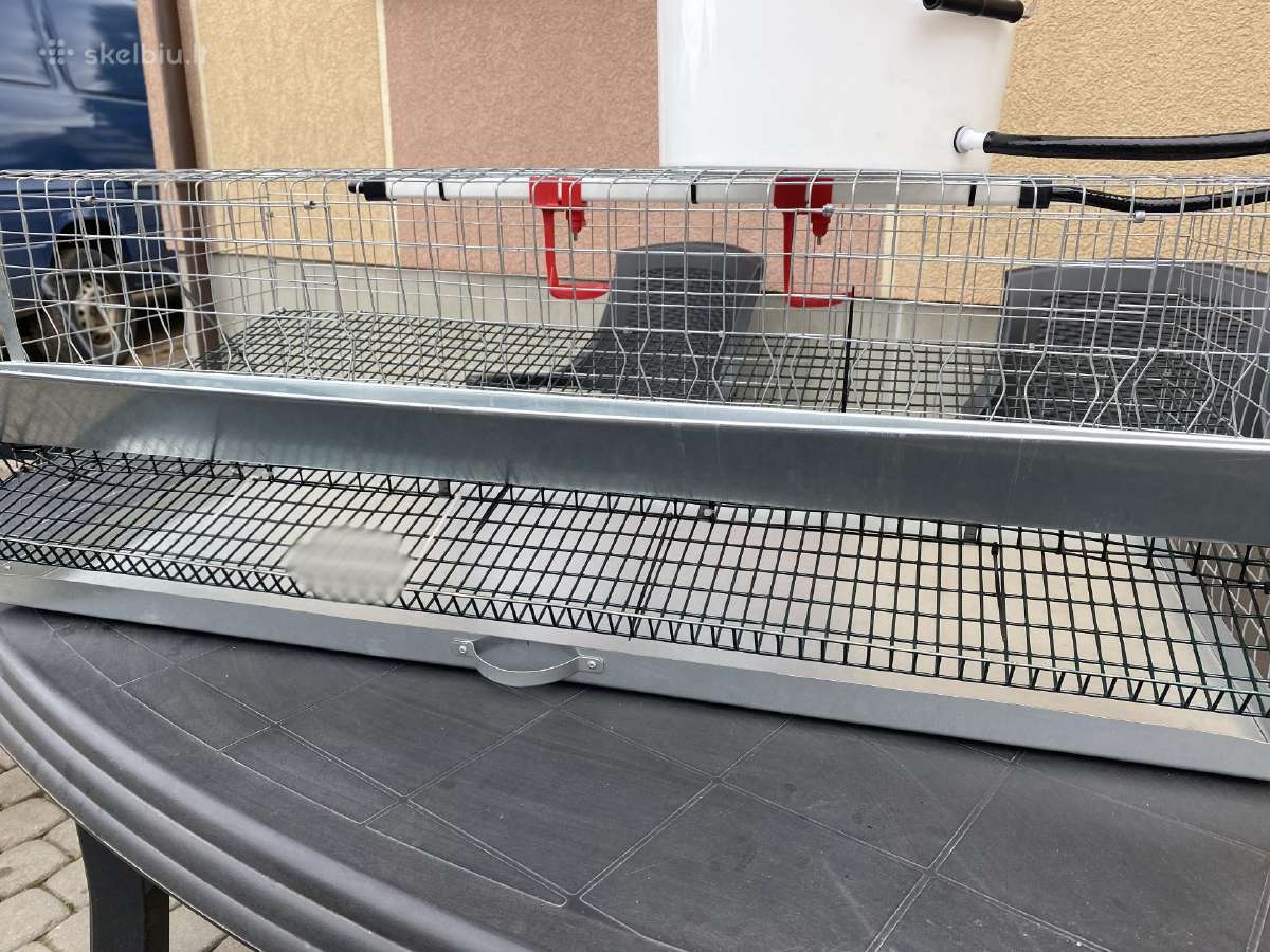 Putpeles 5€ Vilnius (naujoji Vilnia) - nuotraukos Nr. 3