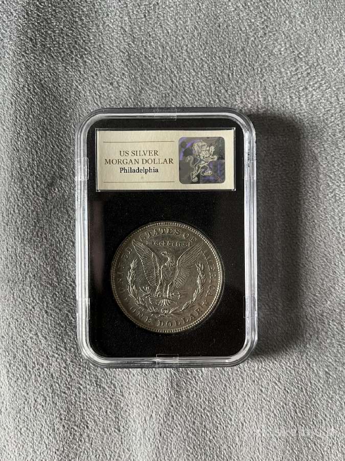 Sidabrinis Morgan Doleris - nuotraukos Nr. 3