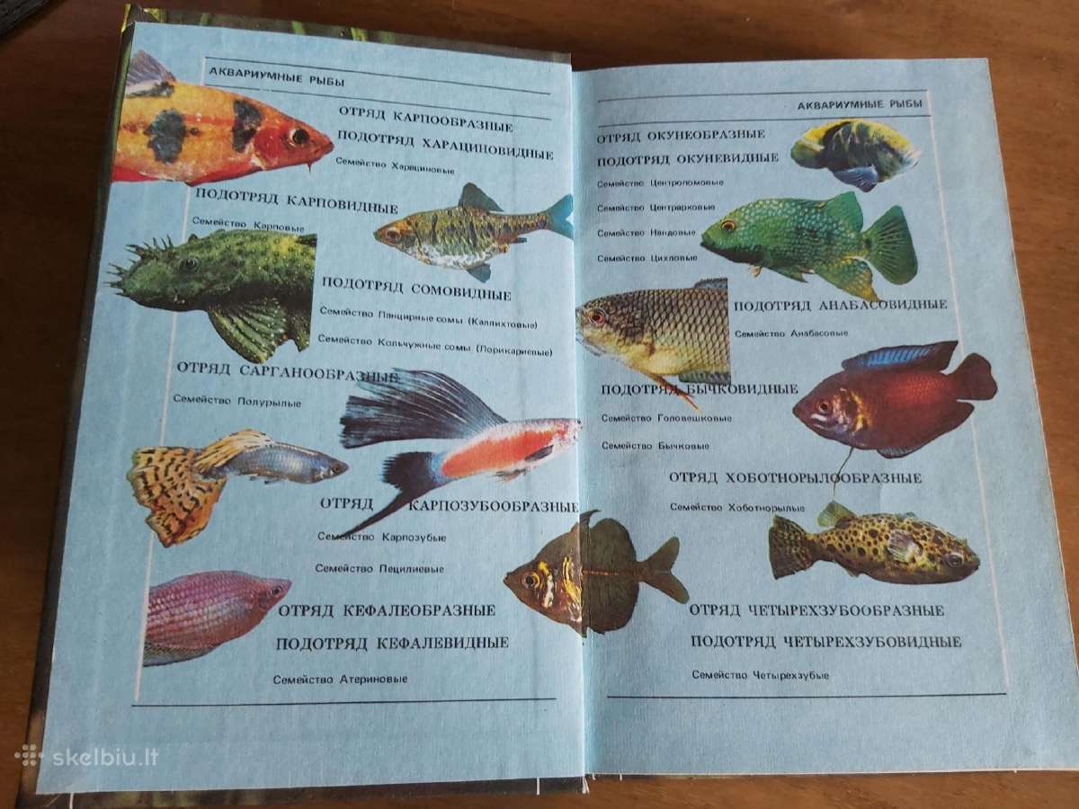 Knyga apie akvariumų priežiūrą - nuotraukos Nr. 3