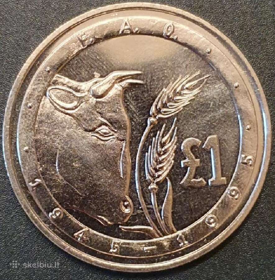 Kipras 1 Svaras, 1995 50-osios F.a.o. Metinės Km70
