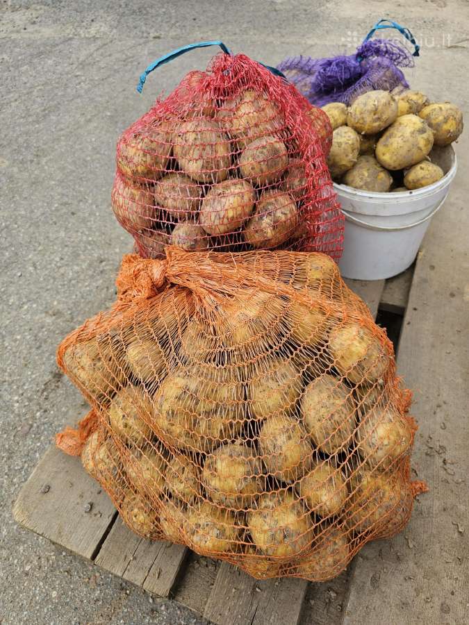 Skanios bulvės ir kitos daržovės
