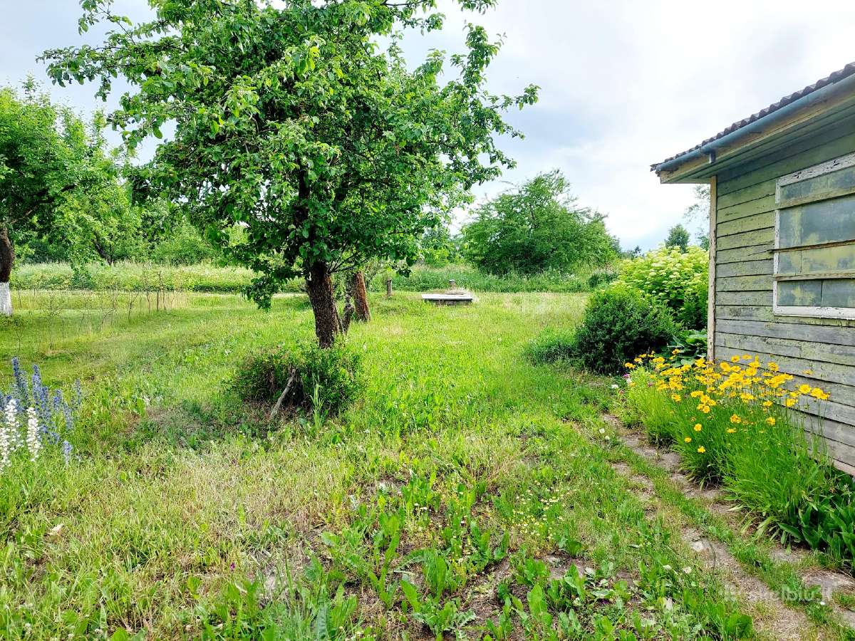 Parduodamas Sodo Sklypas 5,96 Arų. - Skelbiu.lt