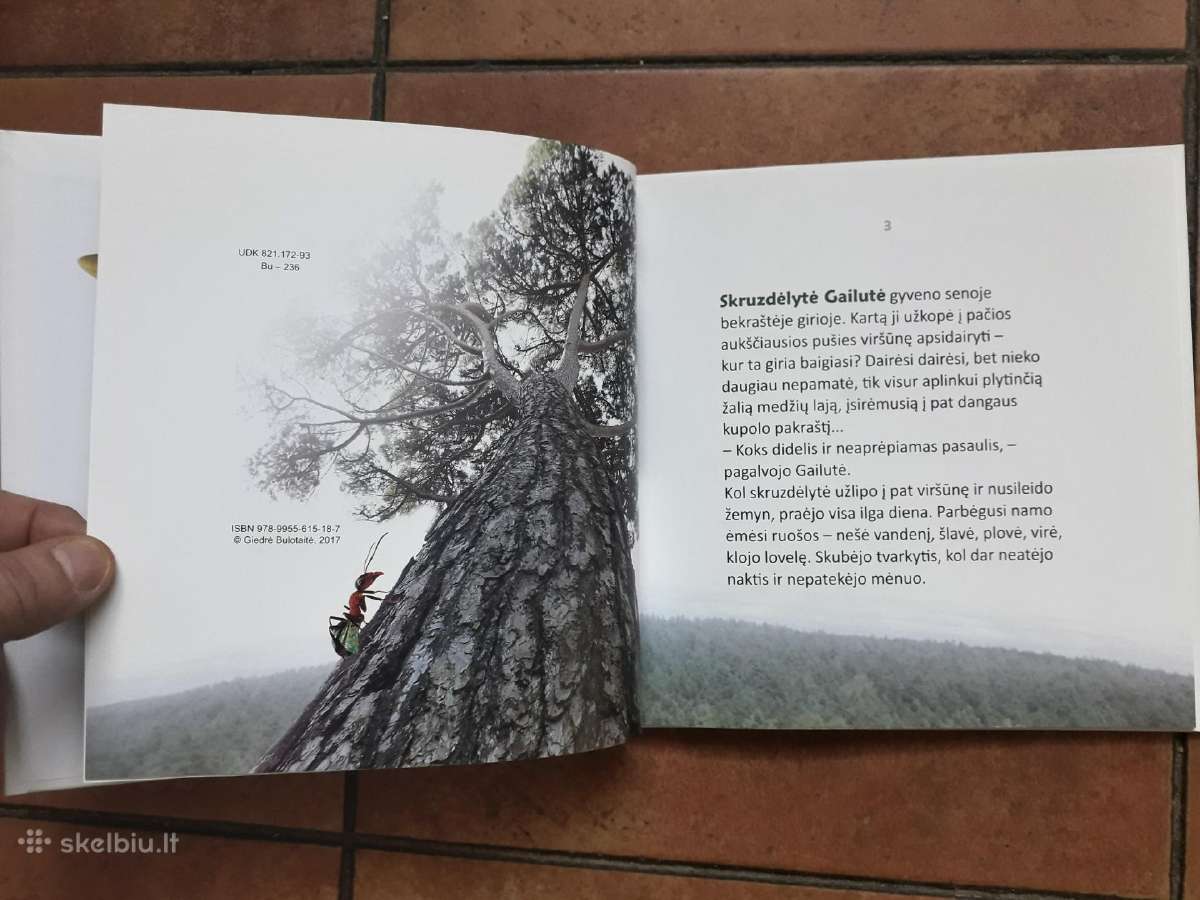 Giedrė Bulotaitė "Gailutė" 2017 metai - nuotraukos Nr. 5