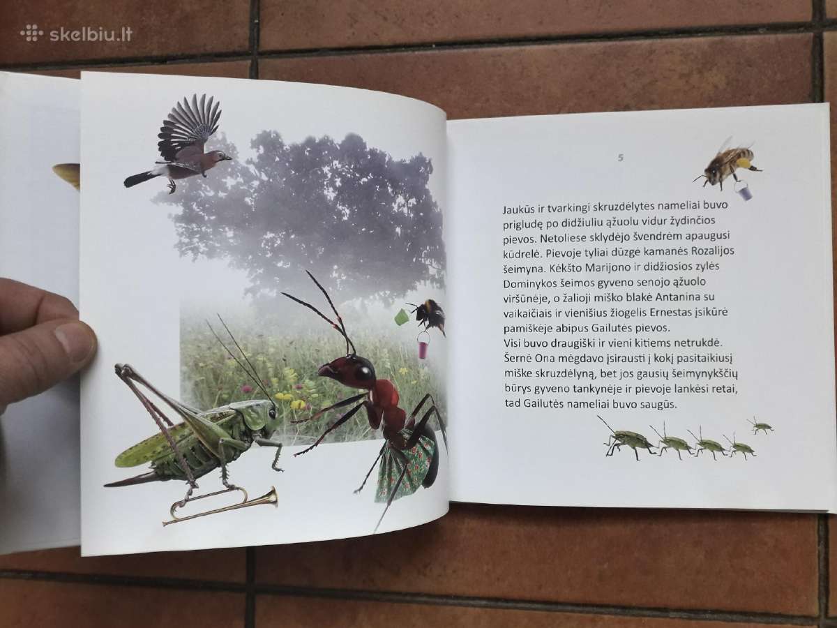 Giedrė Bulotaitė "Gailutė" 2017 metai - nuotraukos Nr. 6