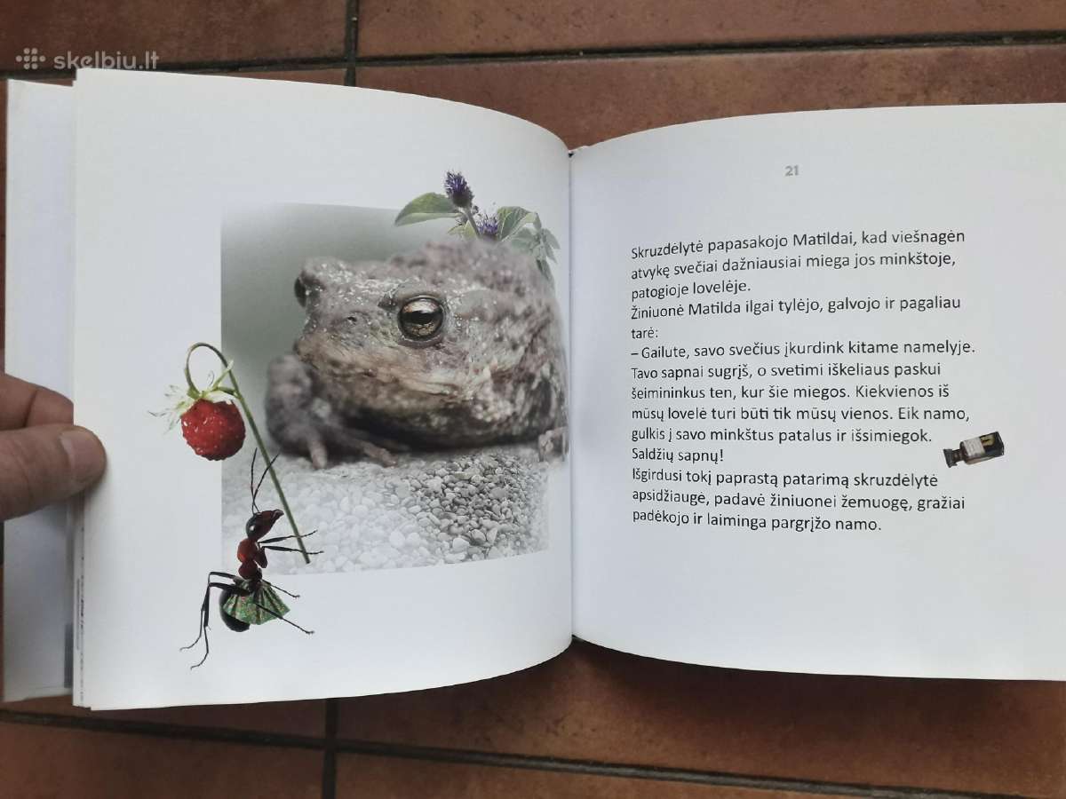 Giedrė Bulotaitė "Gailutė" 2017 metai - nuotraukos Nr. 7