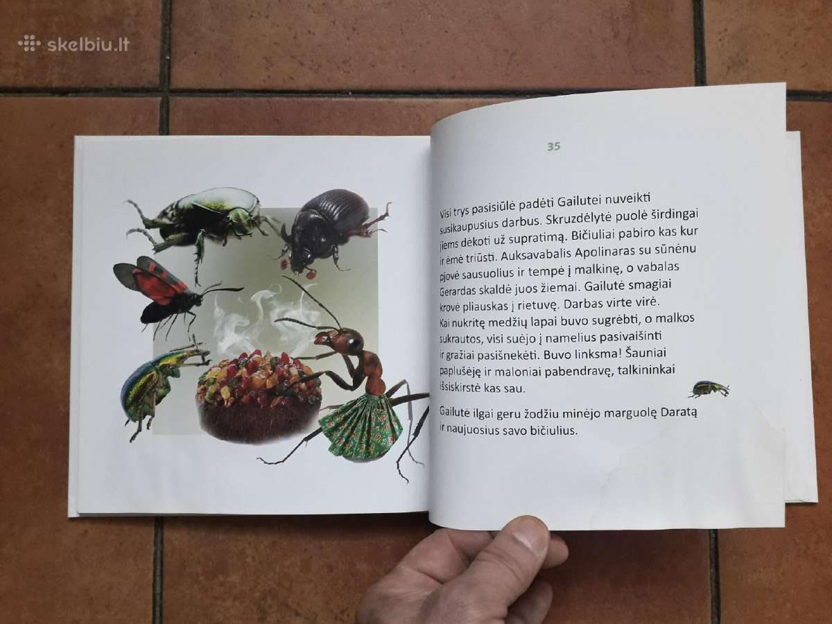 Giedrė Bulotaitė "Gailutė" 2017 metai - nuotraukos Nr. 9