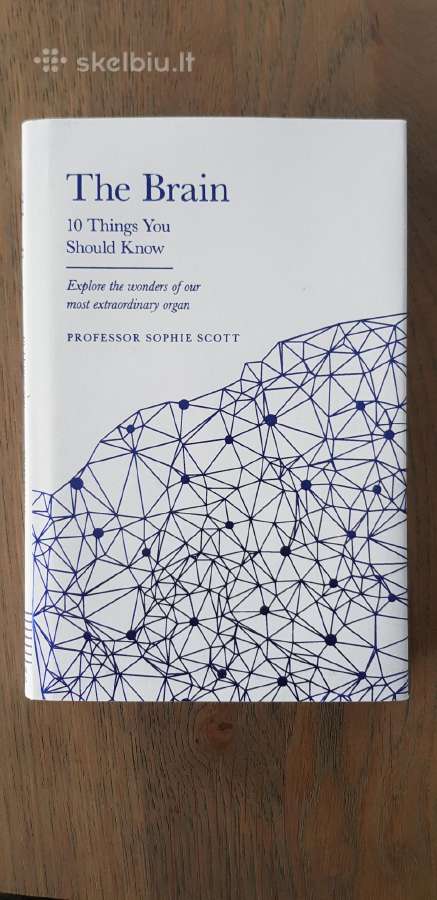 The Brain: 10 Things You Should Know - nuotraukos Nr. 2