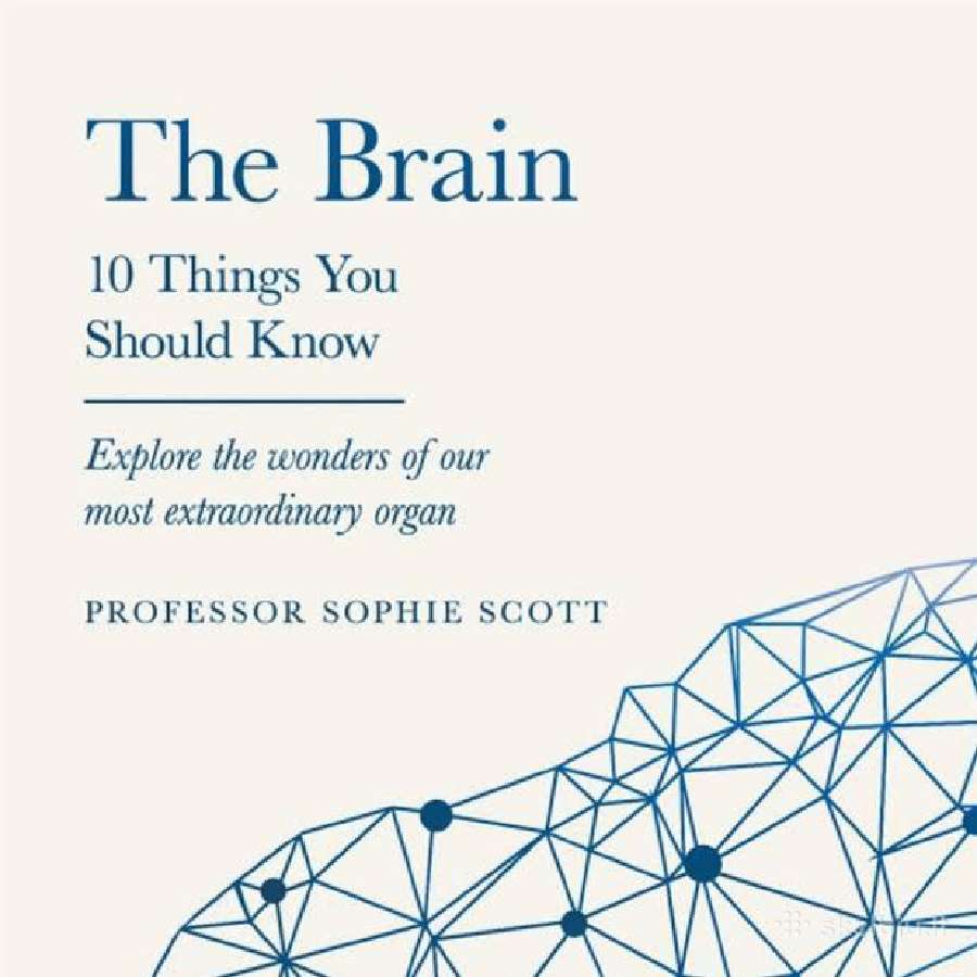 The Brain: 10 Things You Should Know